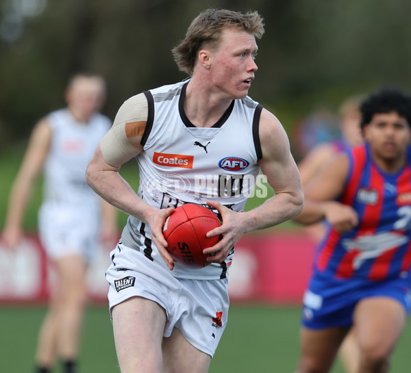 Coates League Boys 2024 Round 18 - Oakleigh v GWV Rebels - A-53121287