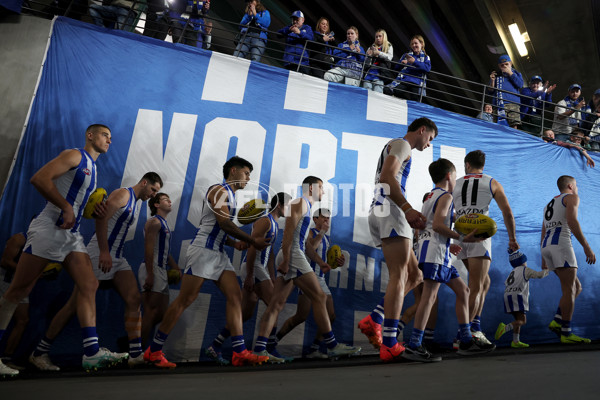 AFL 2024 Round 23 - Western Bulldogs v North Melbourne - A-53121302