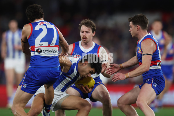 AFL 2024 Round 23 - Western Bulldogs v North Melbourne - A-53121303