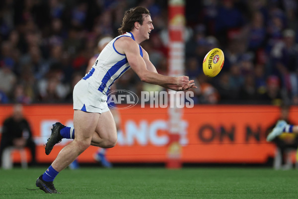 AFL 2024 Round 23 - Western Bulldogs v North Melbourne - A-53121304