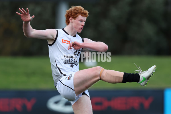 Coates League Boys 2024 Round 18 - Oakleigh v GWV Rebels - A-53121330