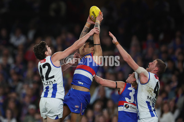 AFL 2024 Round 23 - Western Bulldogs v North Melbourne - A-53121337