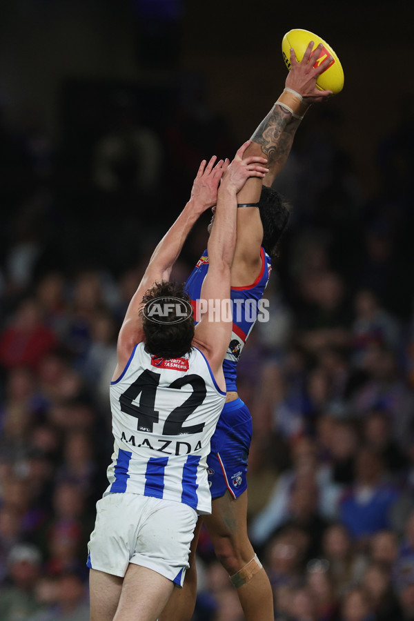 AFL 2024 Round 23 - Western Bulldogs v North Melbourne - A-53121339