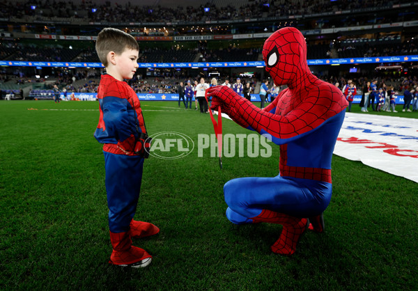 AFL 2024 Round 23 - Western Bulldogs v North Melbourne - A-53121352
