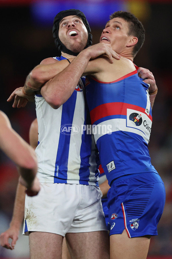 AFL 2024 Round 23 - Western Bulldogs v North Melbourne - A-53122366