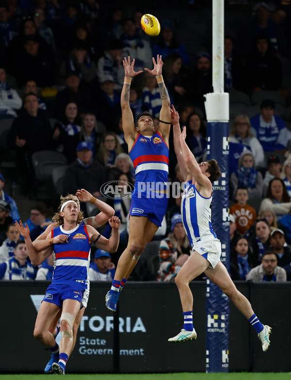 AFL 2024 Round 23 - Western Bulldogs v North Melbourne - A-53122368