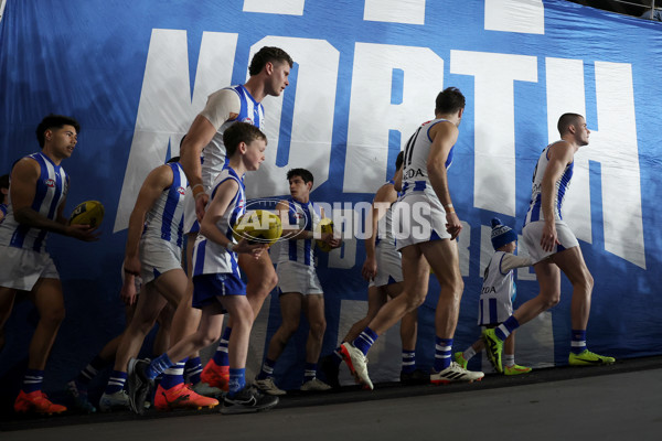 AFL 2024 Round 23 - Western Bulldogs v North Melbourne - A-53122375