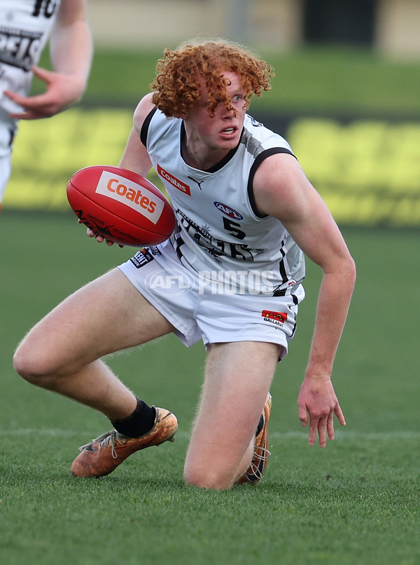 Coates League Boys 2024 Round 18 - Oakleigh v GWV Rebels - A-53122397