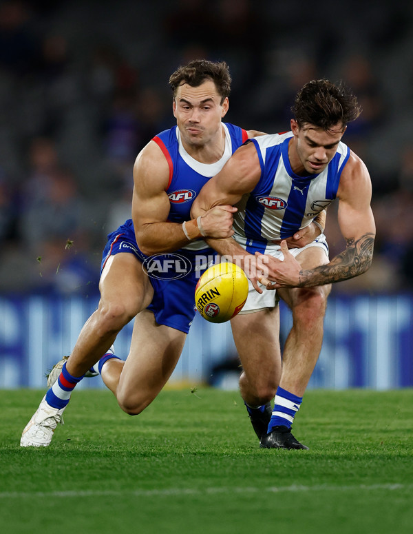 AFL 2024 Round 23 - Western Bulldogs v North Melbourne - A-53122405