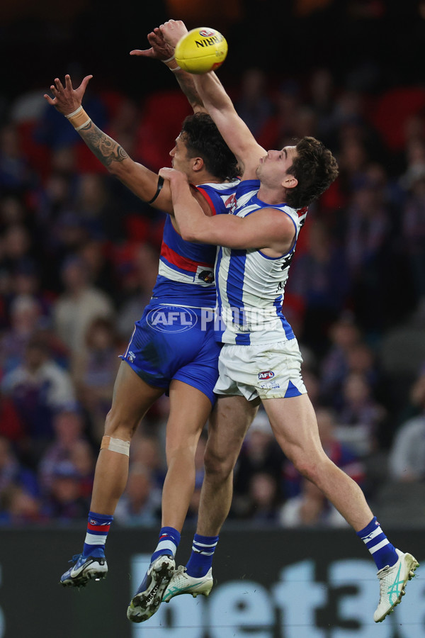 AFL 2024 Round 23 - Western Bulldogs v North Melbourne - A-53122406