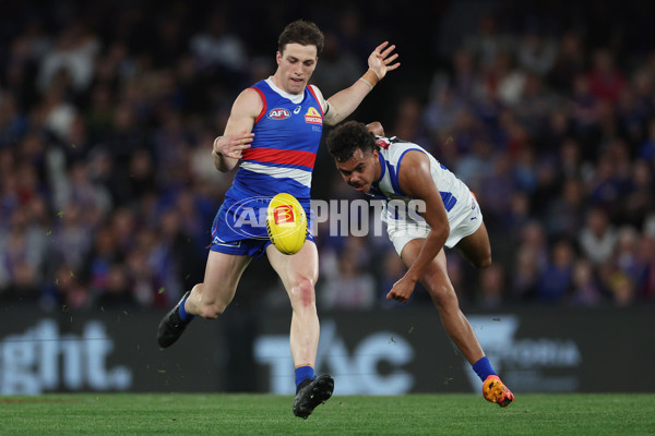 AFL 2024 Round 23 - Western Bulldogs v North Melbourne - A-53122416