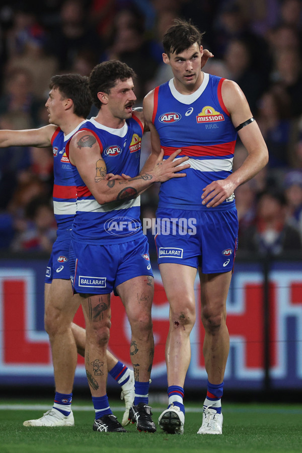 AFL 2024 Round 23 - Western Bulldogs v North Melbourne - A-53122453