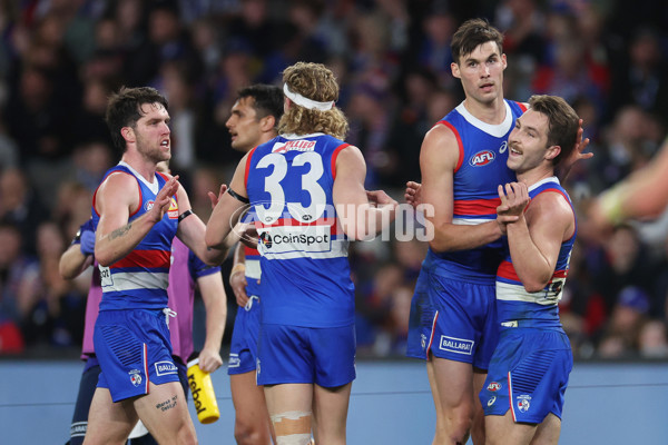 AFL 2024 Round 23 - Western Bulldogs v North Melbourne - A-53122455