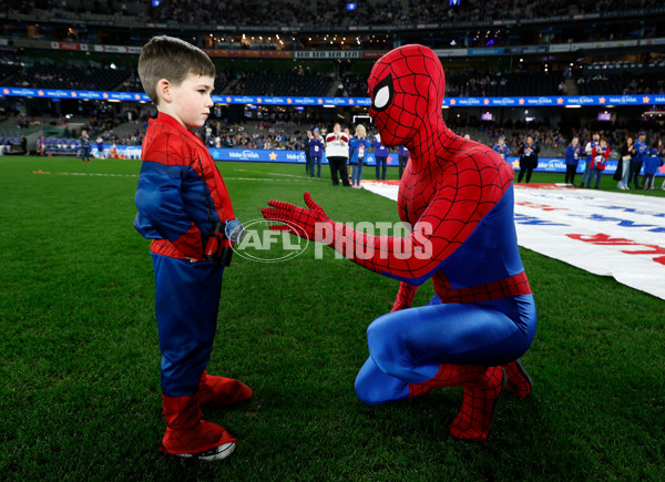 AFL 2024 Round 23 - Western Bulldogs v North Melbourne - A-53123980