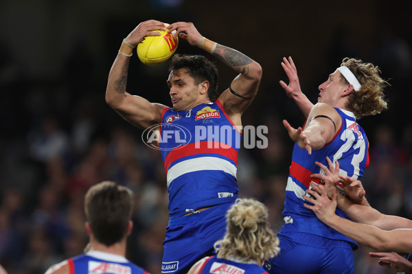 AFL 2024 Round 23 - Western Bulldogs v North Melbourne - A-53124002