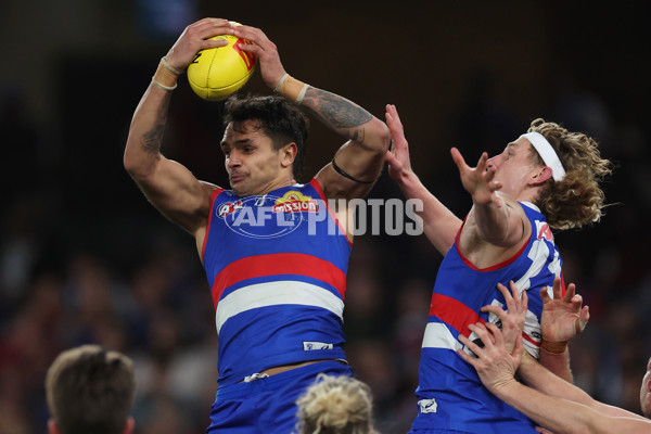 AFL 2024 Round 23 - Western Bulldogs v North Melbourne - A-53124003