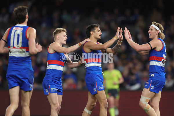 AFL 2024 Round 23 - Western Bulldogs v North Melbourne - A-53124021