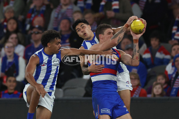 AFL 2024 Round 23 - Western Bulldogs v North Melbourne - A-53124025