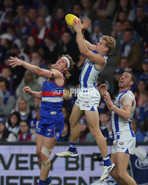 AFL 2024 Round 23 - Western Bulldogs v North Melbourne - A-53124027