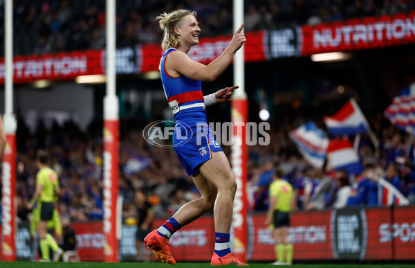 AFL 2024 Round 23 - Western Bulldogs v North Melbourne - A-53124030