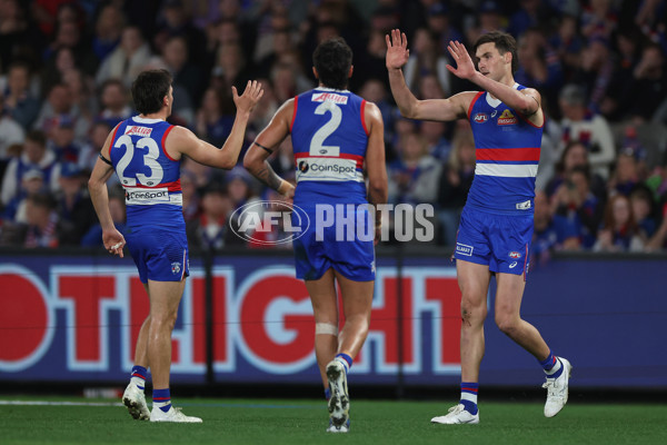 AFL 2024 Round 23 - Western Bulldogs v North Melbourne - A-53124037