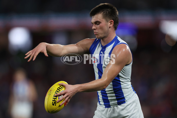 AFL 2024 Round 23 - Western Bulldogs v North Melbourne - A-53124038