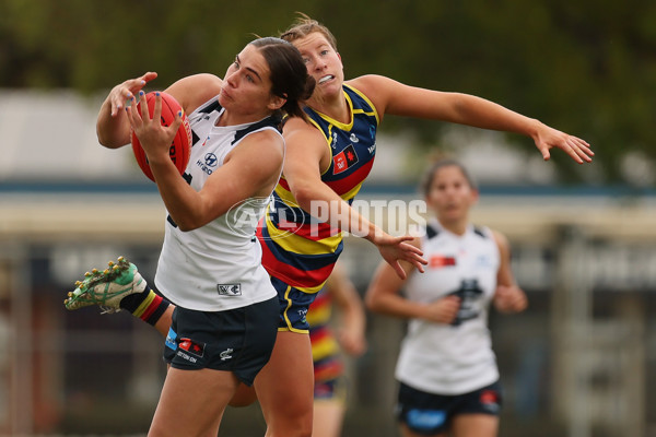 AFLW 2024 Practice Match - Adelaide v Carlton - A-53124044