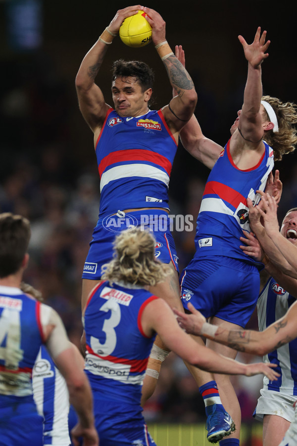 AFL 2024 Round 23 - Western Bulldogs v North Melbourne - A-53124052