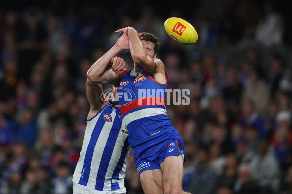 AFL 2024 Round 23 - Western Bulldogs v North Melbourne - A-53124053