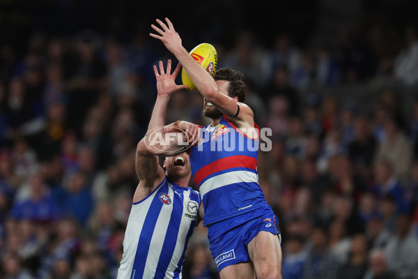 AFL 2024 Round 23 - Western Bulldogs v North Melbourne - A-53124054