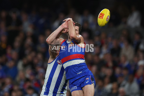 AFL 2024 Round 23 - Western Bulldogs v North Melbourne - A-53124057