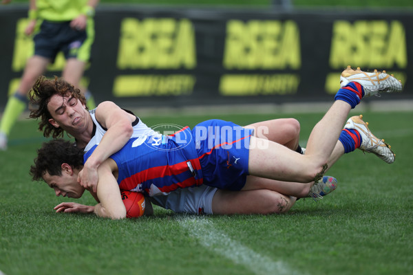 Coates League Boys 2024 Round 18 - Oakleigh v GWV Rebels - A-53124058