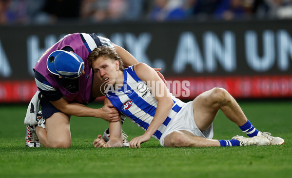 AFL 2024 Round 23 - Western Bulldogs v North Melbourne - A-53124073