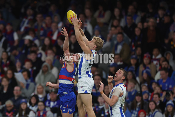 AFL 2024 Round 23 - Western Bulldogs v North Melbourne - A-53125192