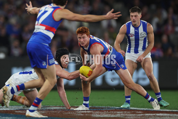 AFL 2024 Round 23 - Western Bulldogs v North Melbourne - A-53125193