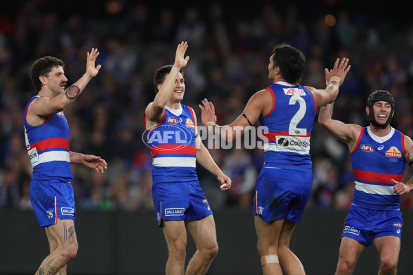 AFL 2024 Round 23 - Western Bulldogs v North Melbourne - A-53125194