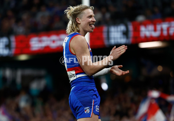 AFL 2024 Round 23 - Western Bulldogs v North Melbourne - A-53125207