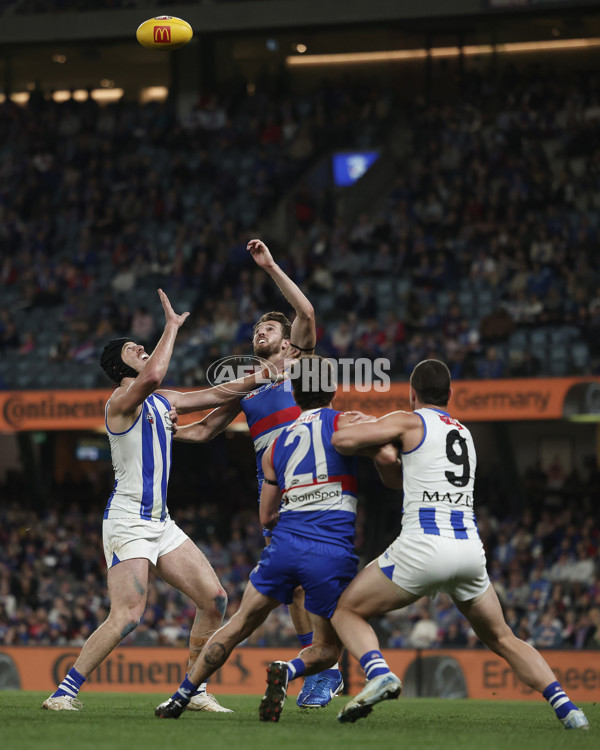 AFL 2024 Round 23 - Western Bulldogs v North Melbourne - A-53125208