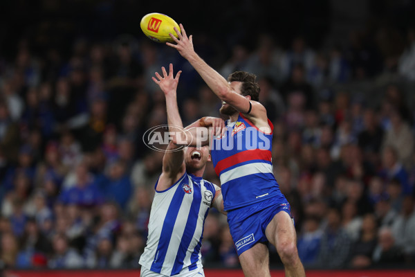 AFL 2024 Round 23 - Western Bulldogs v North Melbourne - A-53125225