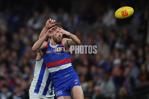 AFL 2024 Round 23 - Western Bulldogs v North Melbourne - A-53125226