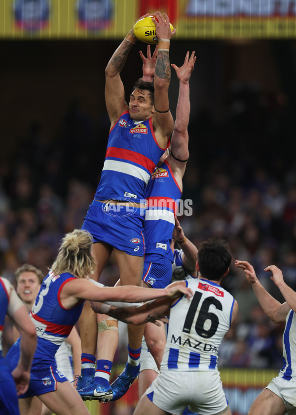 AFL 2024 Round 23 - Western Bulldogs v North Melbourne - A-53125244