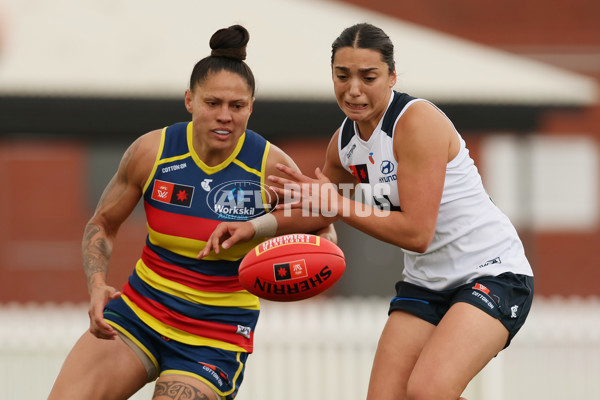 AFLW 2024 Practice Match - Adelaide v Carlton - A-53125255