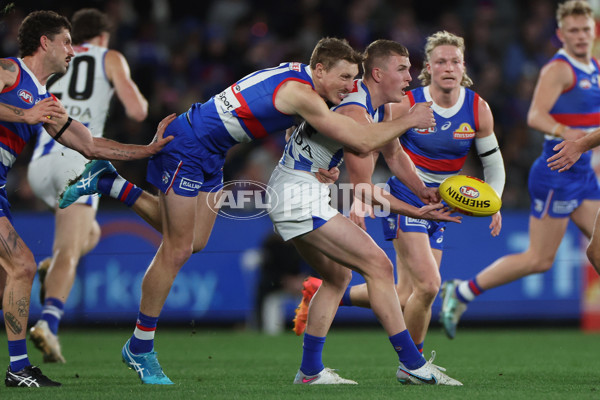 AFL 2024 Round 23 - Western Bulldogs v North Melbourne - A-53125287