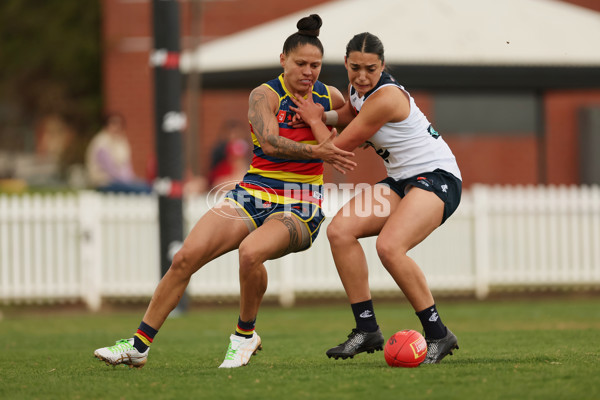 AFLW 2024 Practice Match - Adelaide v Carlton - A-53126815