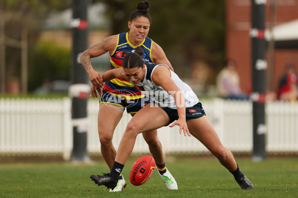 AFLW 2024 Practice Match - Adelaide v Carlton - A-53126816