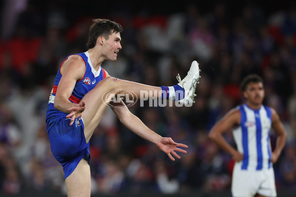 AFL 2024 Round 23 - Western Bulldogs v North Melbourne - A-53126822