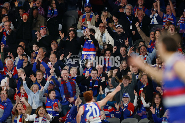 AFL 2024 Round 23 - Western Bulldogs v North Melbourne - A-53126840