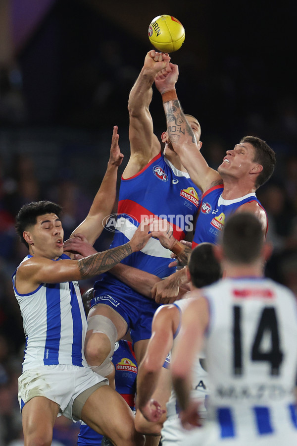 AFL 2024 Round 23 - Western Bulldogs v North Melbourne - A-53126847