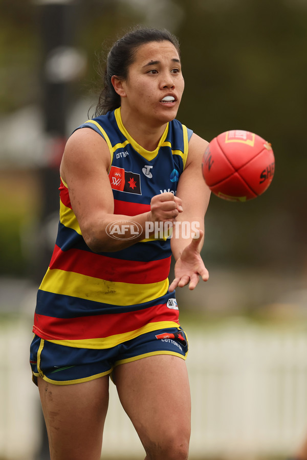 AFLW 2024 Practice Match - Adelaide v Carlton - A-53126848