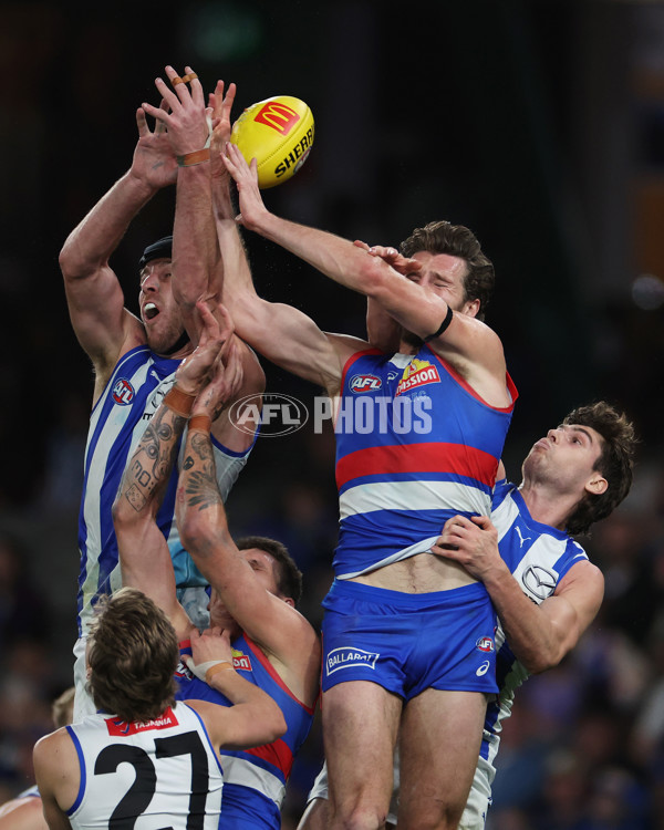 AFL 2024 Round 23 - Western Bulldogs v North Melbourne - A-53126852